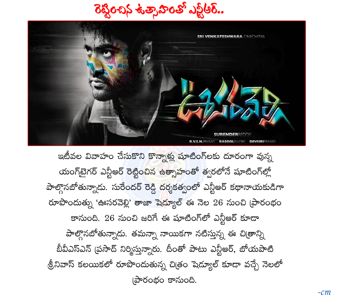 ntr oosaraveli news,oosaraveli review,director surenderreddy,oosaraveli opening,ntr,tamanna,oosaraveli shooting progress,ntr as oosaraveli,oosaraveli audio date  ntr oosaraveli news, oosaraveli review, director surenderreddy, oosaraveli opening, ntr, tamanna, oosaraveli shooting progress, ntr as oosaraveli, oosaraveli audio date